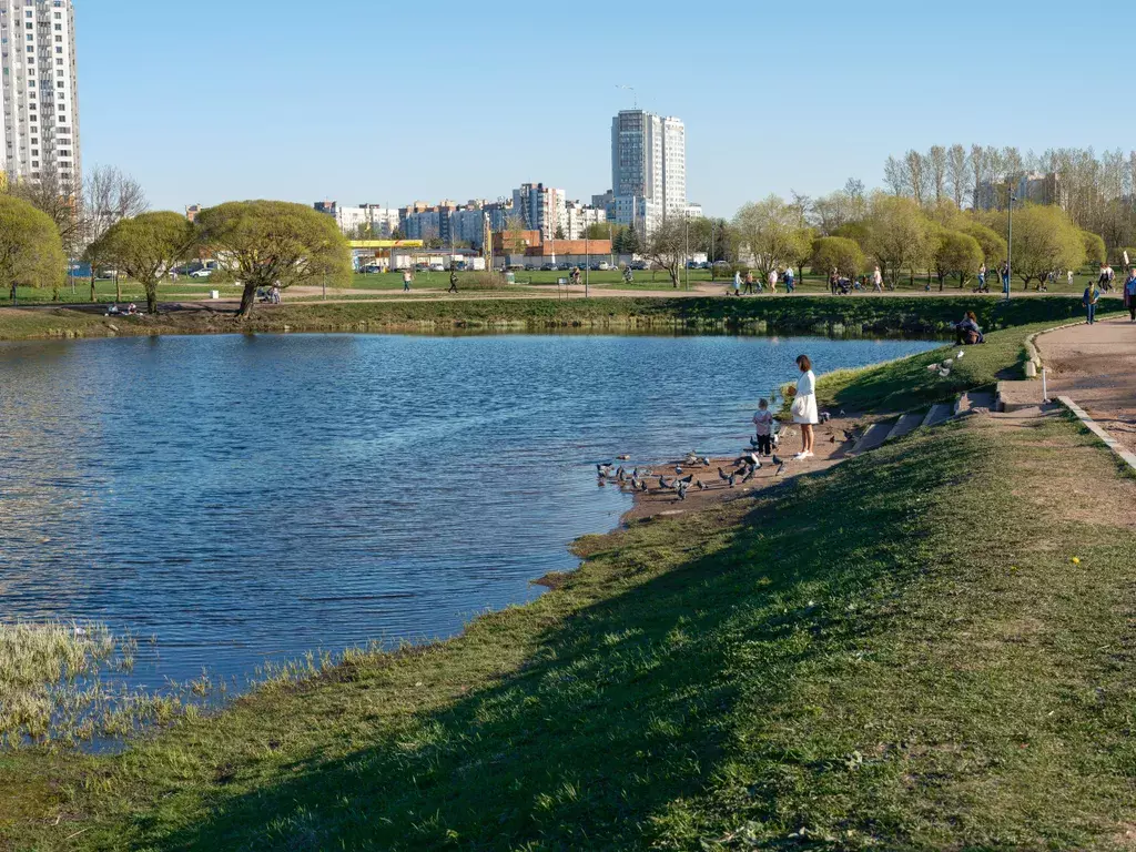 квартира г Санкт-Петербург ш Южное 57 Дуна́йская, к 2, Ленинградская область фото 22