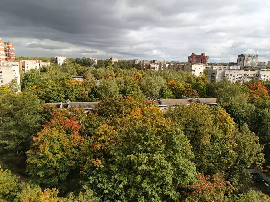 квартира г Санкт-Петербург метро Удельная пр-кт Энгельса 69 Ленинградская область фото 10