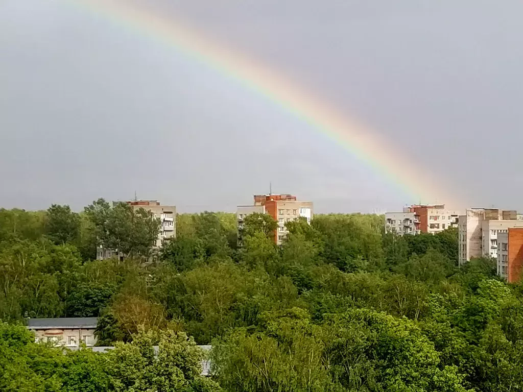 квартира г Санкт-Петербург метро Удельная пр-кт Энгельса 69 Ленинградская область фото 11