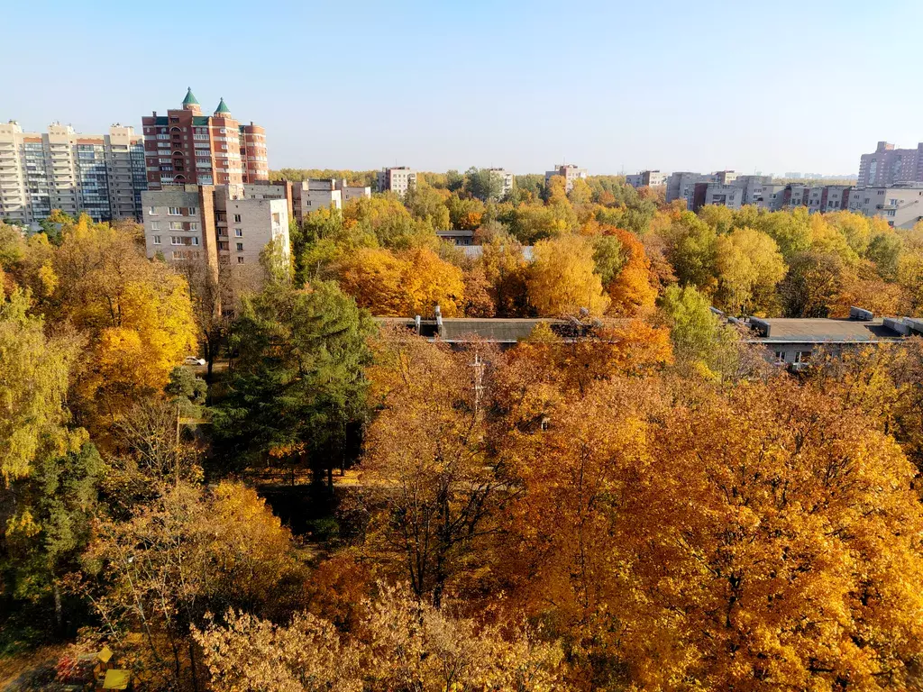 квартира г Санкт-Петербург метро Удельная пр-кт Энгельса 69 Ленинградская область фото 13