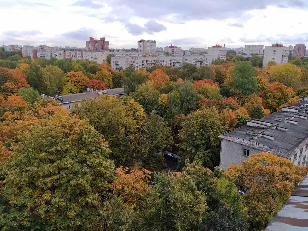 квартира г Санкт-Петербург метро Удельная пр-кт Энгельса 69 Ленинградская область фото 14