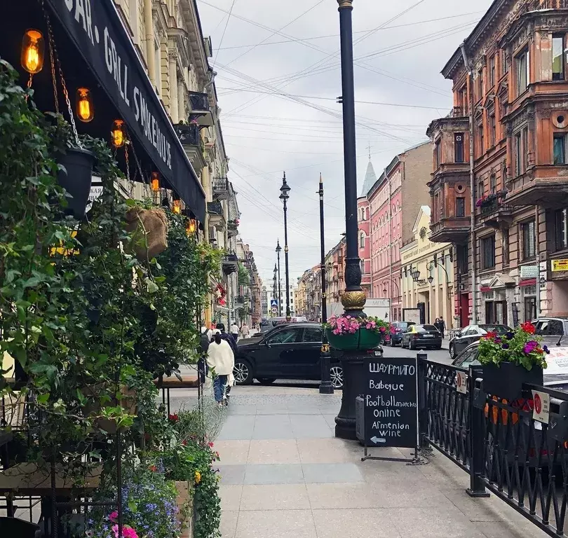 квартира г Санкт-Петербург метро Достоевская ул Рубинштейна 5 Ленинградская область фото 13