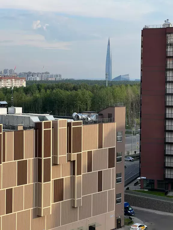 квартира г Санкт-Петербург метро Озерки ул Плесецкая 10 Ленинградская область фото 16