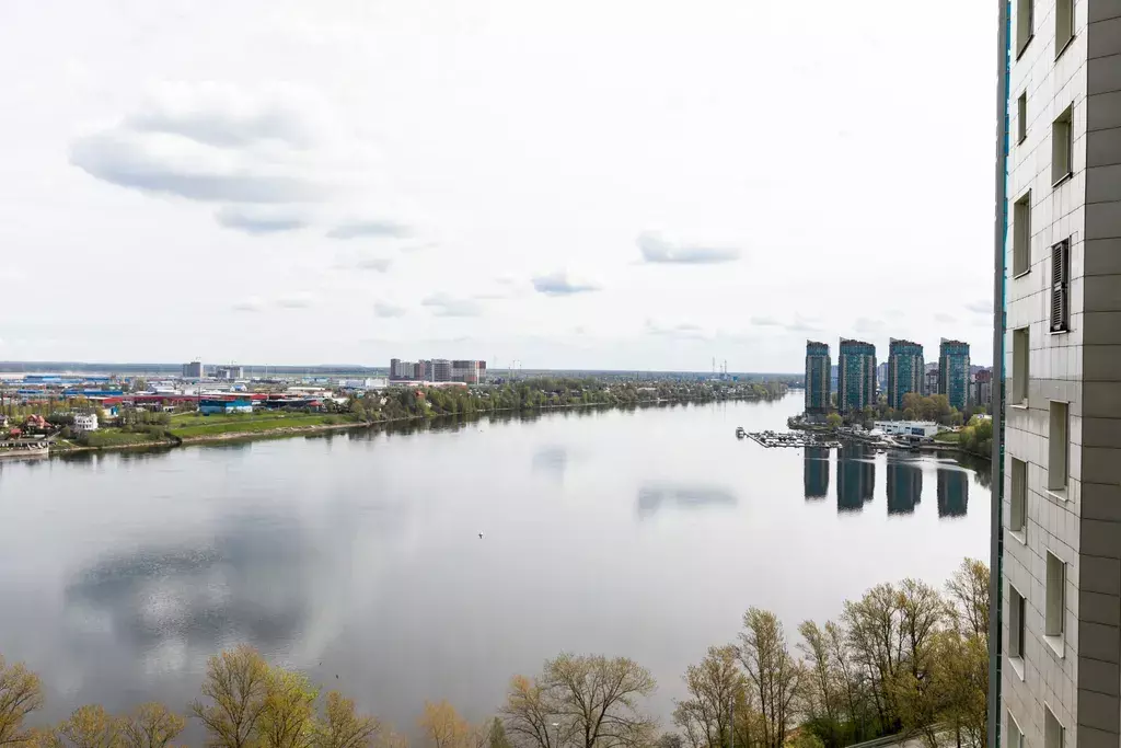 квартира г Санкт-Петербург метро Пролетарская пр-кт Обуховской Обороны 138 к 2, Ленинградская область фото 28