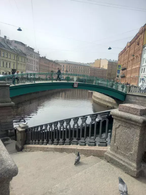 квартира г Санкт-Петербург метро Сенная Площадь пр-кт Московский 1/2 Ленинградская область фото 22