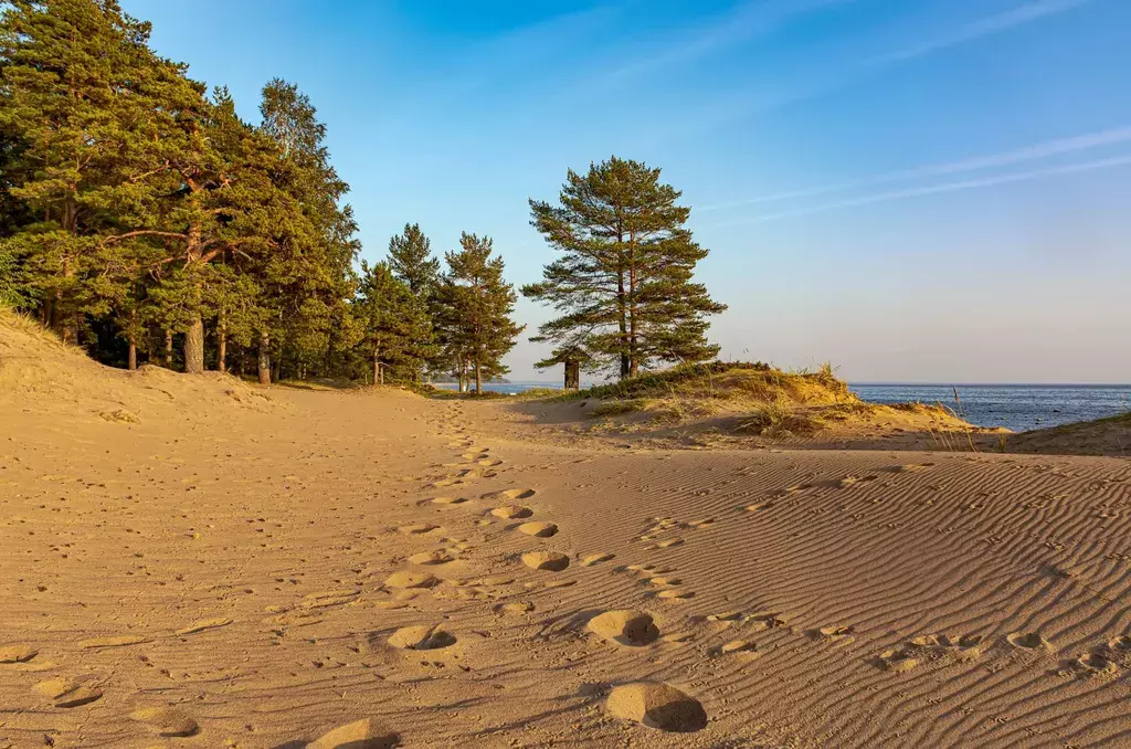 дом Репино, Зеленогорское шоссе, 12, к 16 фото 35