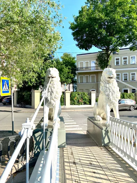 квартира г Санкт-Петербург метро Садовая наб Канала Грибоедова 96 Ленинградская область фото 26