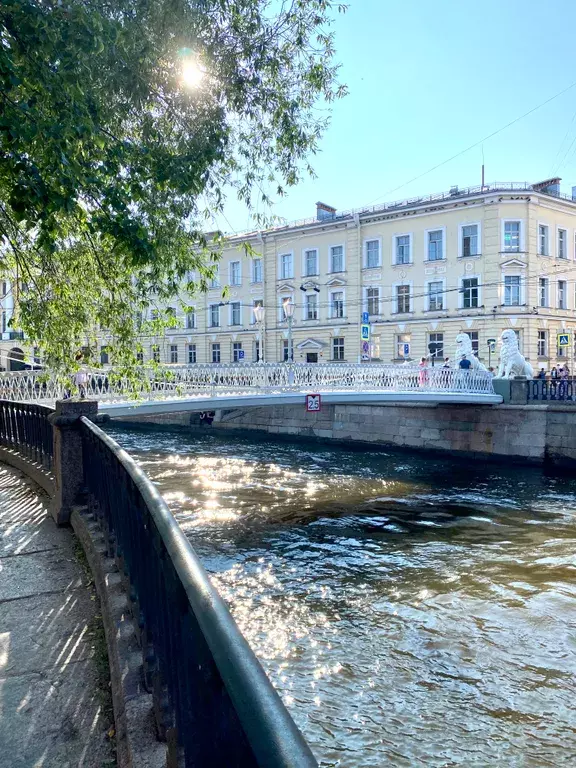 квартира г Санкт-Петербург метро Садовая наб Канала Грибоедова 96 Ленинградская область фото 27