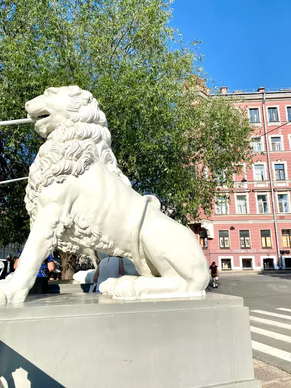 квартира г Санкт-Петербург метро Садовая наб Канала Грибоедова 96 Ленинградская область фото 28