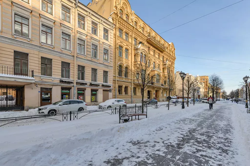 квартира г Санкт-Петербург метро Чернышевская ул Фурштатская 20 Ленинградская область фото 25