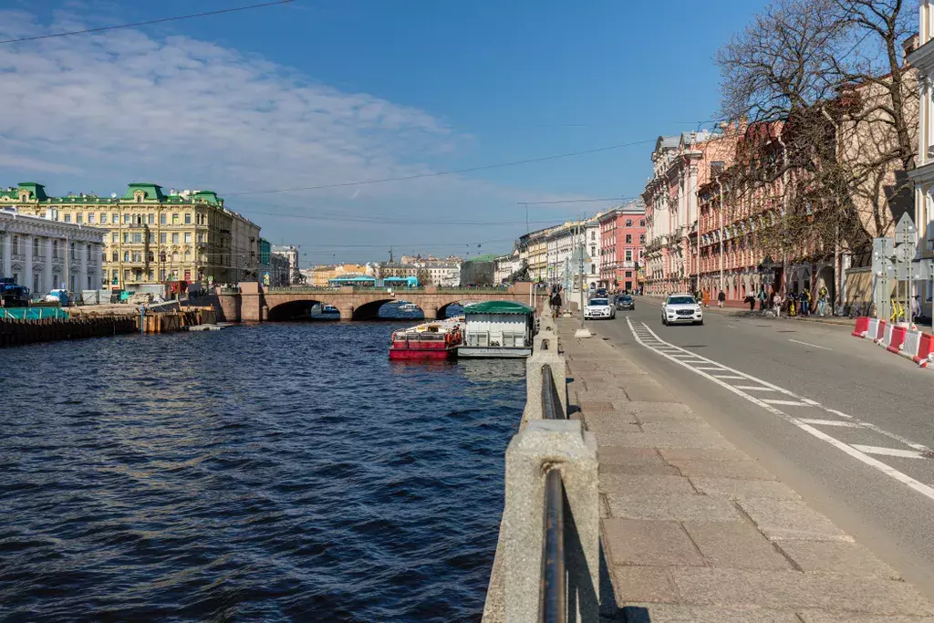 квартира г Санкт-Петербург метро Достоевская ул Рубинштейна 3 Ленинградская область фото 46