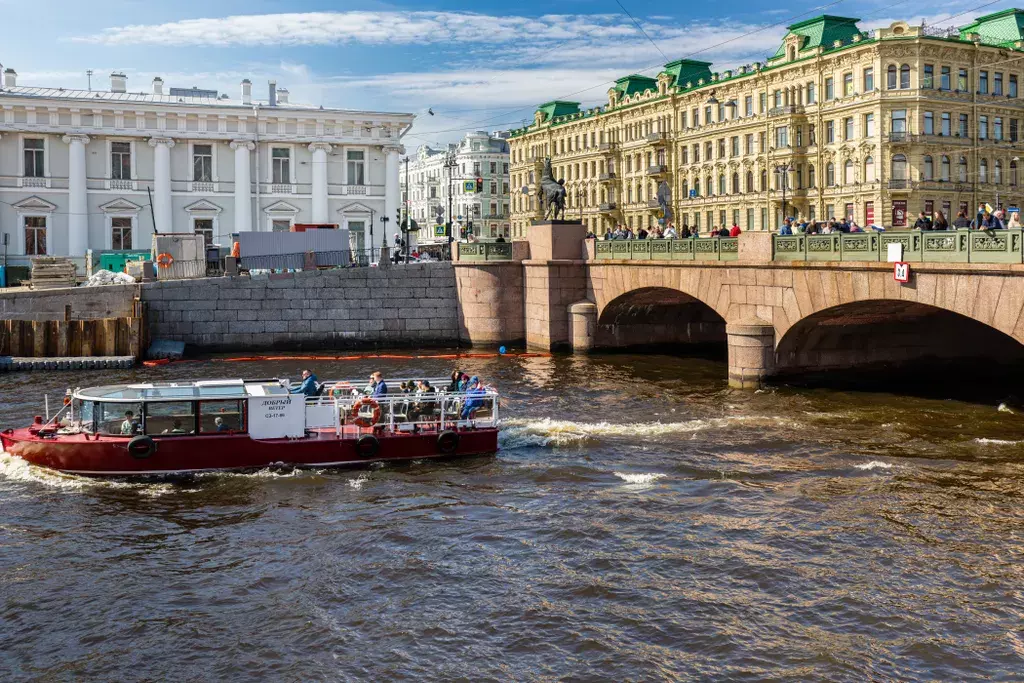 квартира г Санкт-Петербург метро Достоевская ул Рубинштейна 3 Ленинградская область фото 47