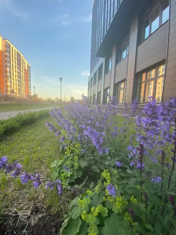 квартира г Санкт-Петербург метро Московская проезд 1-й Предпортовый 11 Ленинградская область фото 12