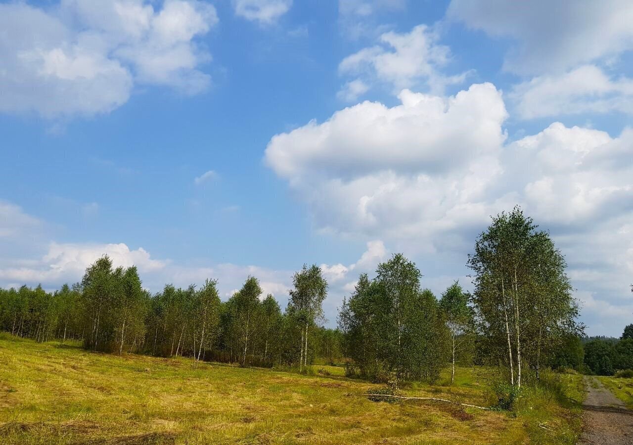 земля городской округ Наро-Фоминский д Настасьино 9786 км, Наро-Фоминск, Киевское шоссе фото 29