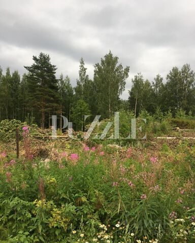 ул Прибрежная Трасса Сортавала, 9802 км, Громовское сельское поселение, Коммунары фото