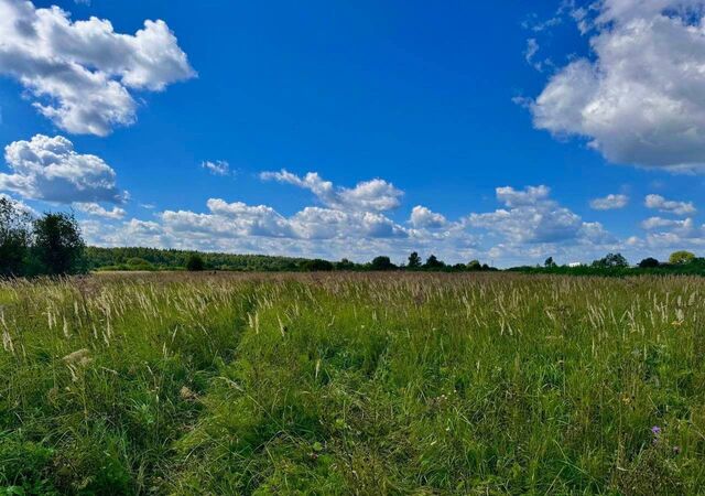 9761 км, территориальное управление Гжельское, Егорьевское шоссе фото