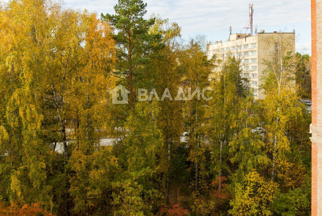 квартира г Новосибирск р-н Советский Речной вокзал Академгородок ул Ильича 23 фото 30