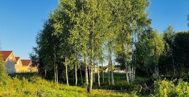 городской округ Дмитровский п Новое Гришино 33 км, Деденево, Дмитровское шоссе фото