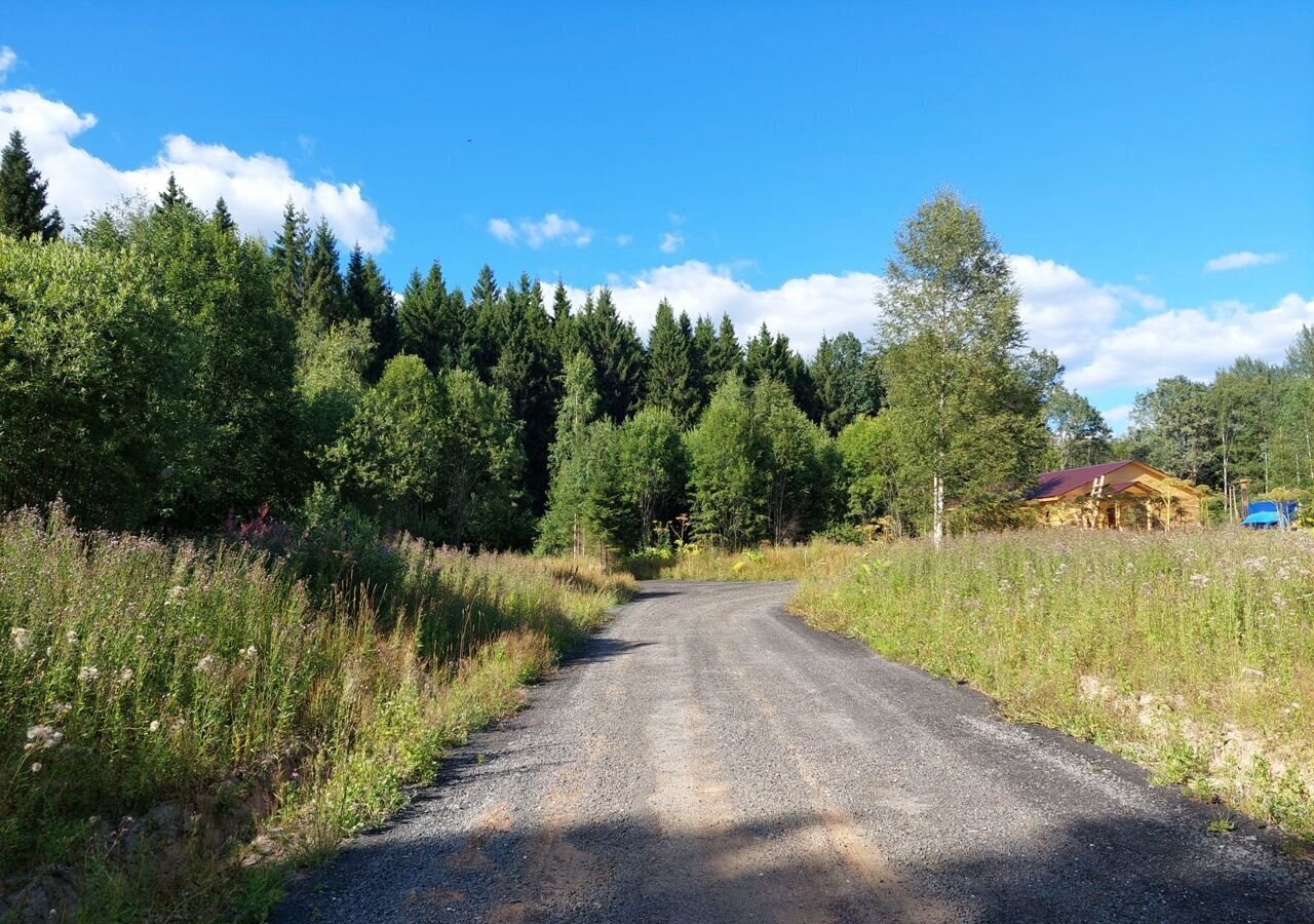 земля городской округ Сергиево-Посадский с Сватково 9788 км, Краснозаводск, Ярославское шоссе фото 5