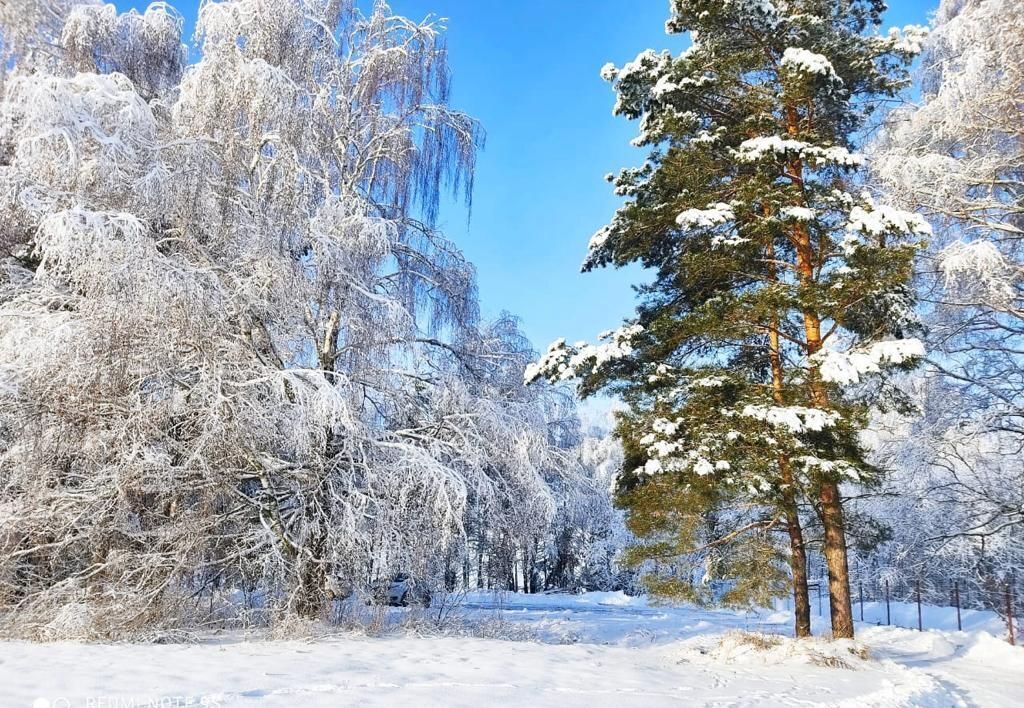 земля городской округ Коломенский с Федосьино 9793 км, коттеджный пос. Прибрежный парк, 1010, Мещерино, г. о. Коломна, Новорязанское шоссе фото 12