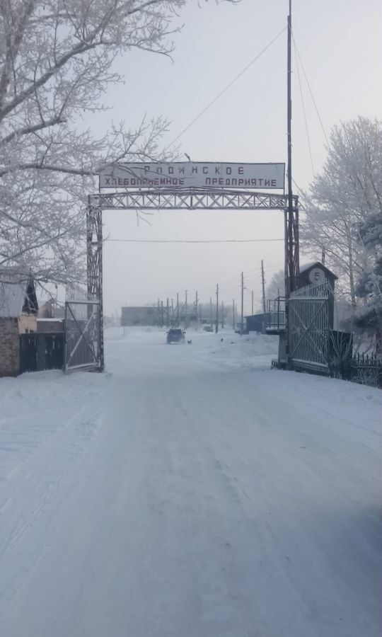 производственные, складские р-н Родинский с Родино ул Советская 8 сельсовет фото 9