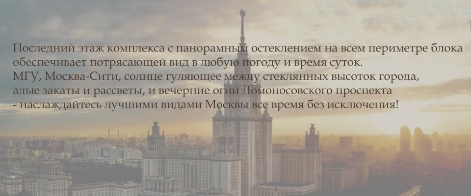 квартира г Москва метро Ломоносовский проспект ул Мосфильмовская 74б фото 5