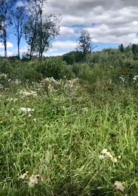 земля городской округ Волоколамский д Себенки фото 1