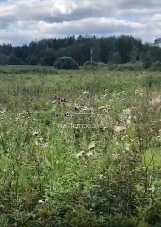 земля городской округ Волоколамский д Себенки фото 4