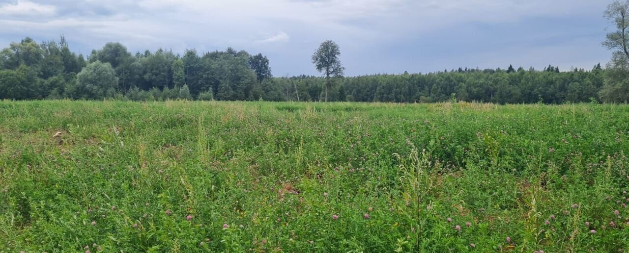 земля направление Киевское (юго-запад) ш Киевское 9761 км, р-н Бекасово, коттеджный пос. Фаворит, 745, Москва, Селятино, Троицкий административный округ фото 1