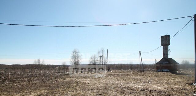 Переславль-Залесский городской округ фото