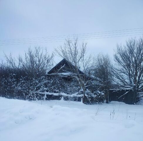 с Заречное ул Советская Старотимошкинское городское поселение фото