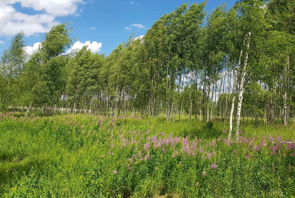 земля городской округ Дмитровский коттеджный посёлок Капорки, Лобня фото 24