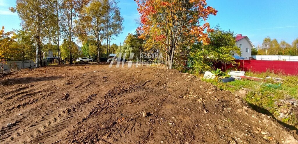 земля городской округ Истра г Дедовск ул 2-я Пролетарская Нахабино фото 6