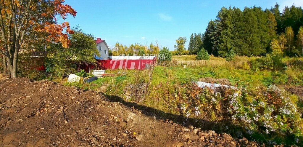 земля городской округ Истра г Дедовск ул 2-я Пролетарская Нахабино фото 11