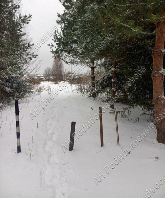 земля городской округ Солнечногорск д Мошницы Зеленоград — Крюково фото 17