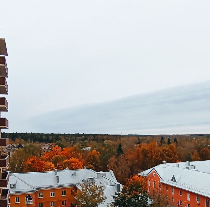 квартира городской округ Солнечногорск рп Менделеево ул Куйбышева 24 Зеленоград — Крюково фото 42