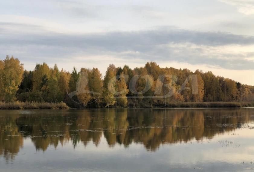 земля р-н Тюменский с Кулига ул Транспортная Тюмень фото 3