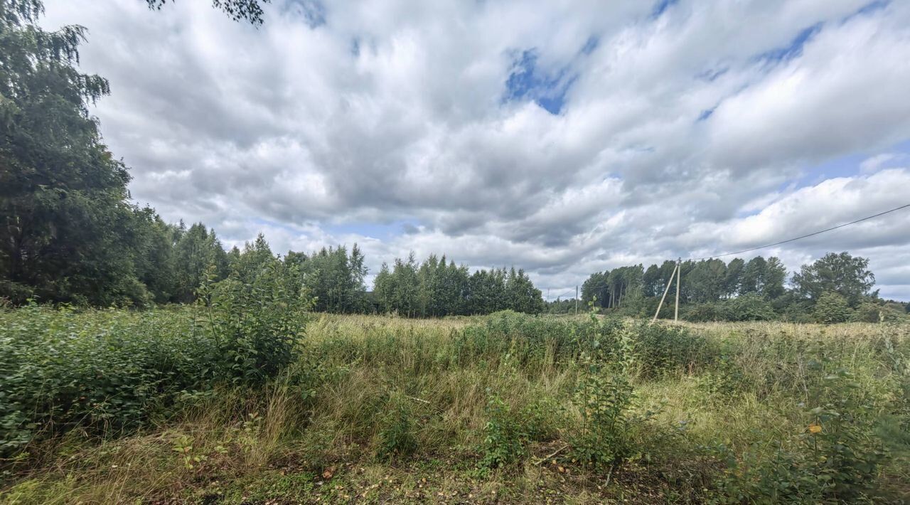 земля р-н Выборгский п Лесогорский Светогорское городское поселение фото 3