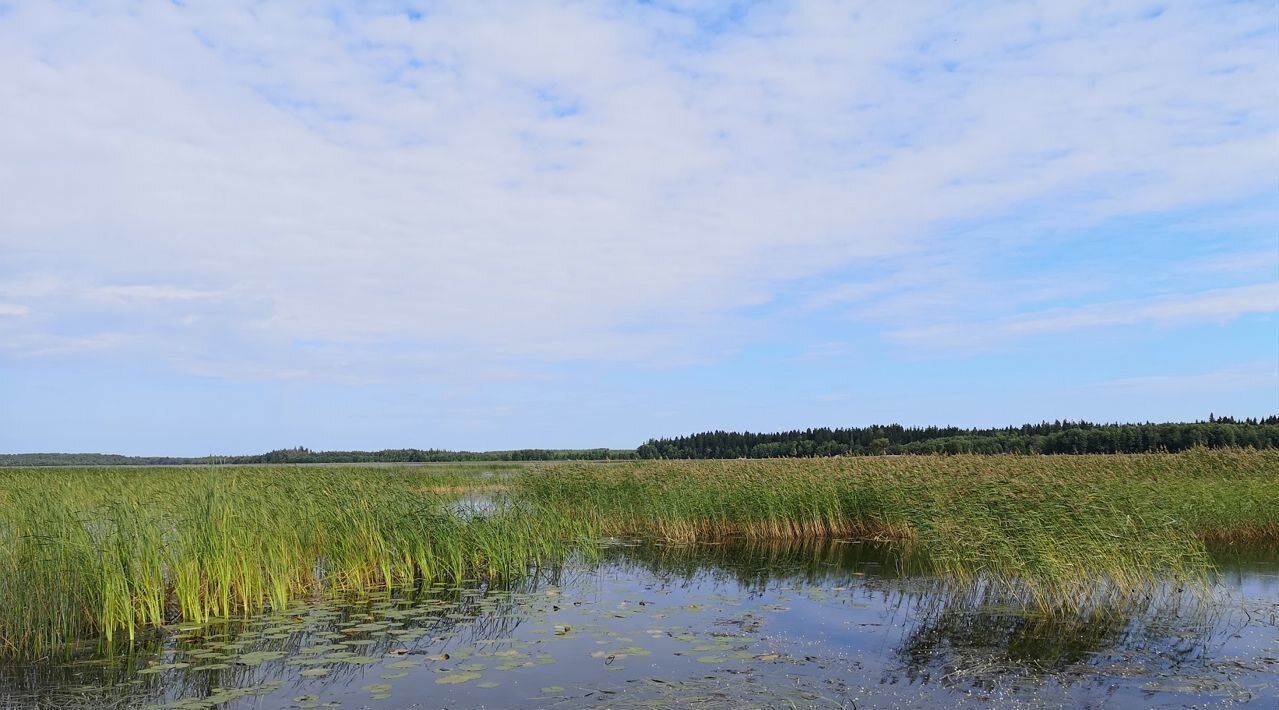 земля р-н Выборгский п Медянка Советское городское поселение фото 2