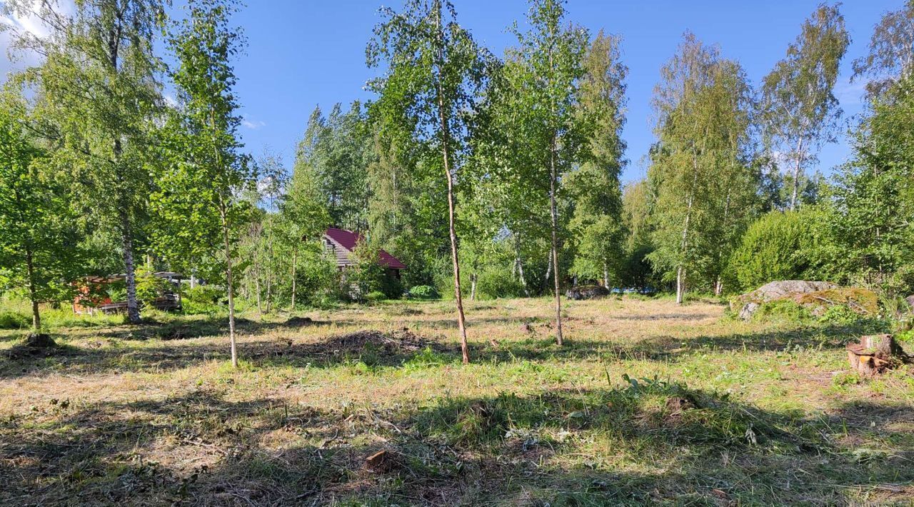 земля р-н Выборгский п Медянка ул Высоцкая Советское городское поселение фото 3