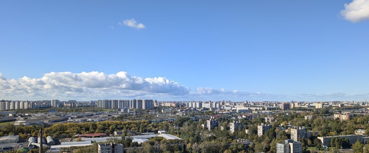 квартира г Санкт-Петербург метро Пролетарская Александровское пр-кт Александровской Фермы 8 ЖК «Green City» округ Обуховский фото 33