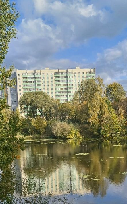 квартира г Москва метро Подольск пер Октябрьский 27 Московская область, Подольск фото 11