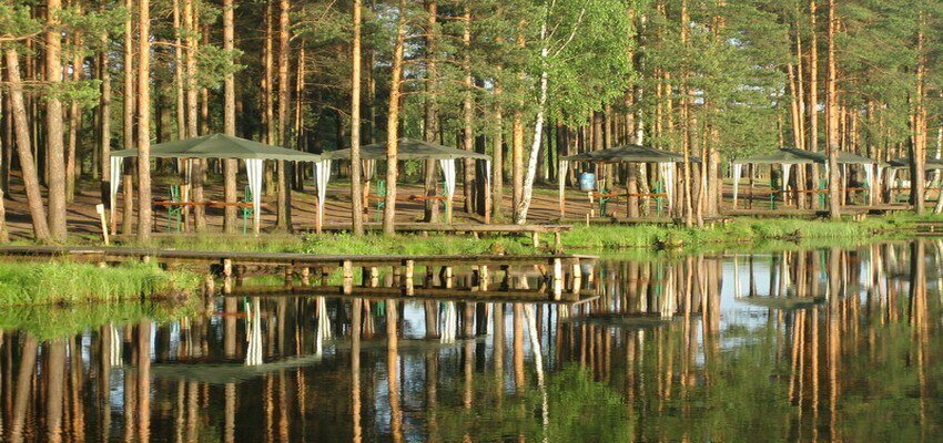 земля Колтушское городское поселение, коттеджный посёлок Коркинский ручей фото 15