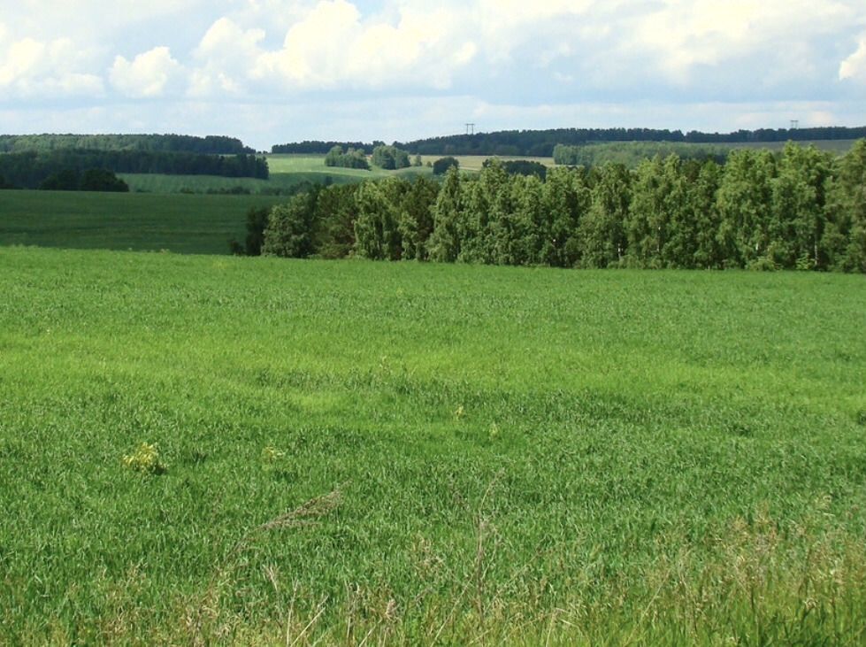 земля р-н Лямбирский п Чекаевский Саранск фото 1