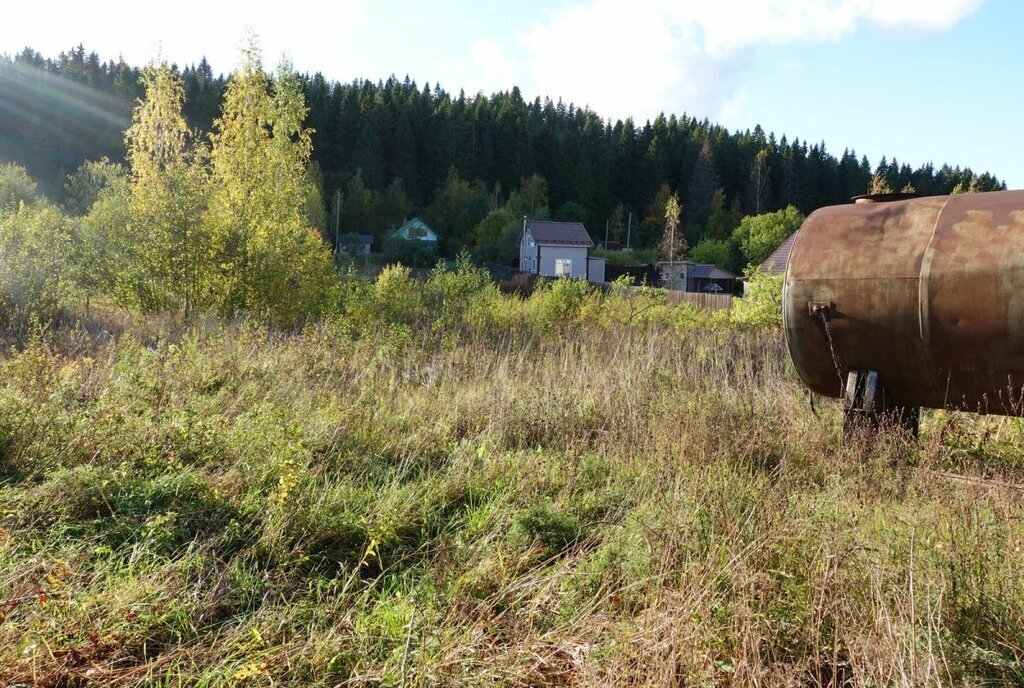 земля Сортавальский муниципальный округ, СОТ Нива фото 7