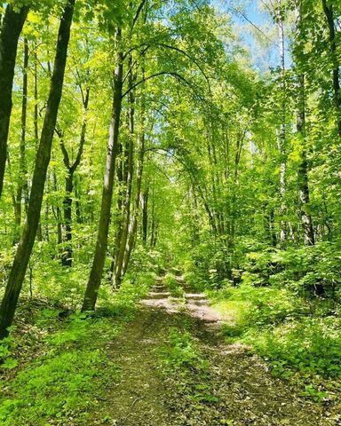 Баграмовское сельское поселение, КП Заповедный фото