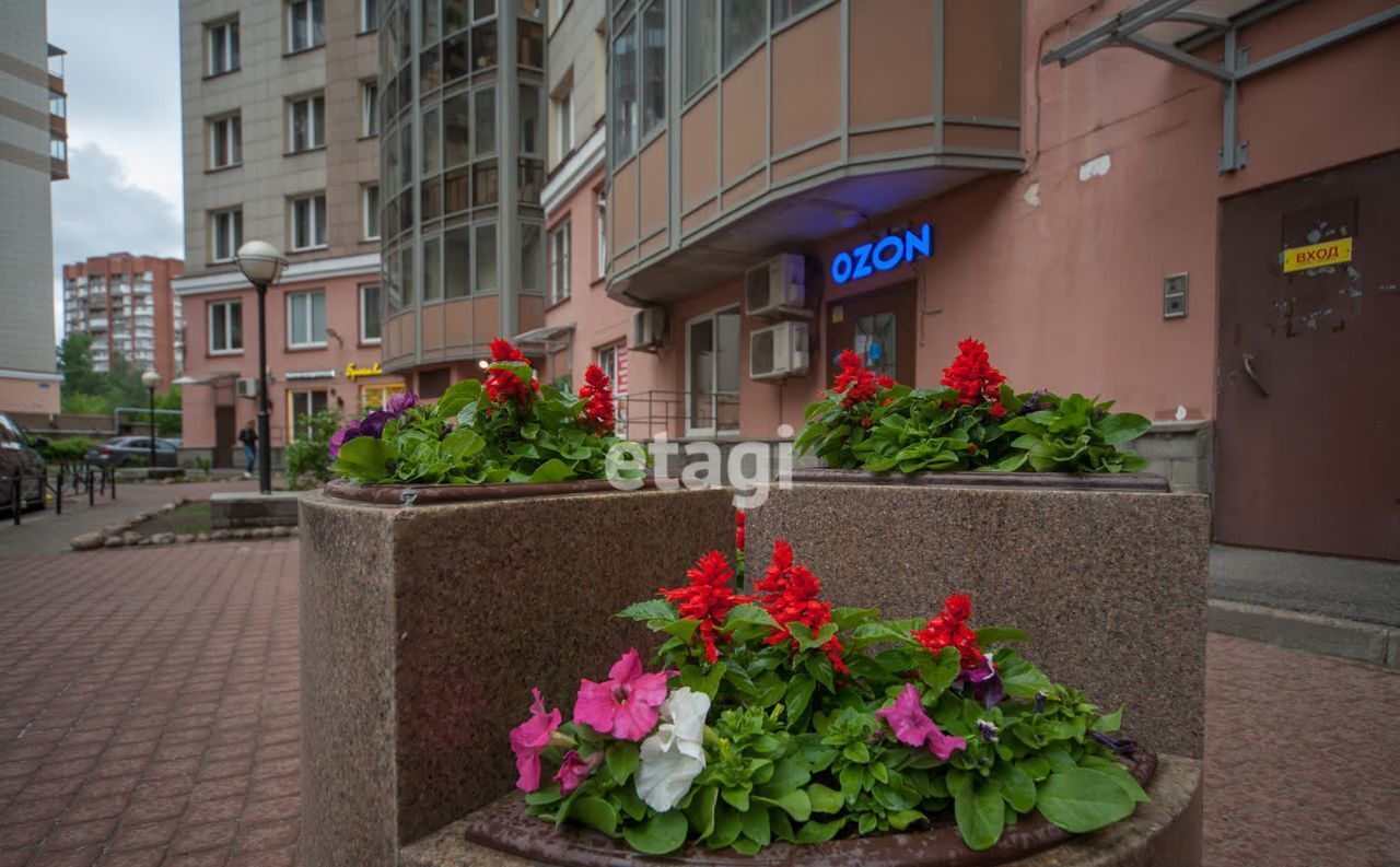 квартира г Санкт-Петербург метро Гражданский Проспект пр-кт Просвещения 99 фото 24