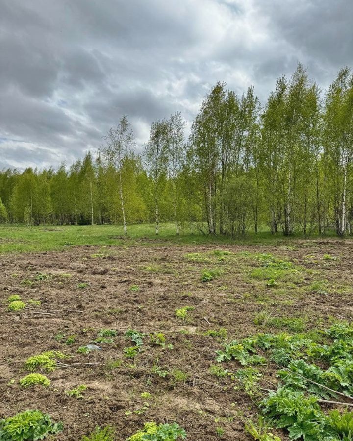 земля городской округ Дмитровский п Редькино 9757 км, 9, Менделеево, Рогачёвское шоссе фото 16