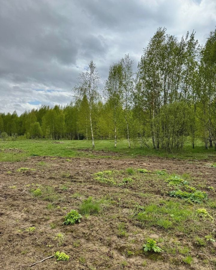 земля городской округ Дмитровский п Редькино 9757 км, 9, Менделеево, Рогачёвское шоссе фото 19