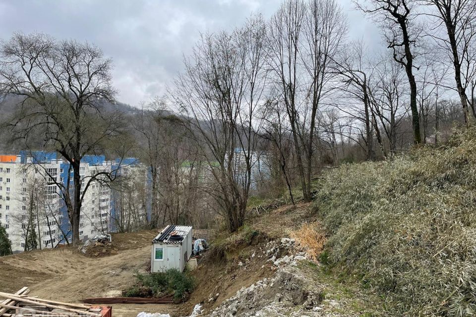 земля р-н Кущевский с Раздольное городской округ Сочи, садовое товарищество Дачное фото 3